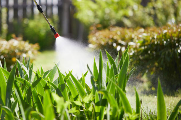 24/7 Emergency Wasp Removal experts in Vernon Hills, IL