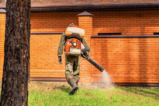 Top rated local Wasp Removal specialists in Vernon Hills, IL
